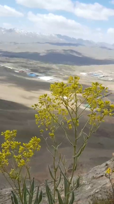 نمایی از کوه دزک