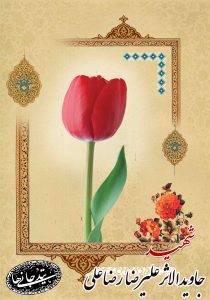 شهید علیرضا رضاعلی